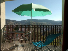 Гостиница Residence Les Dryades  Жерардмер